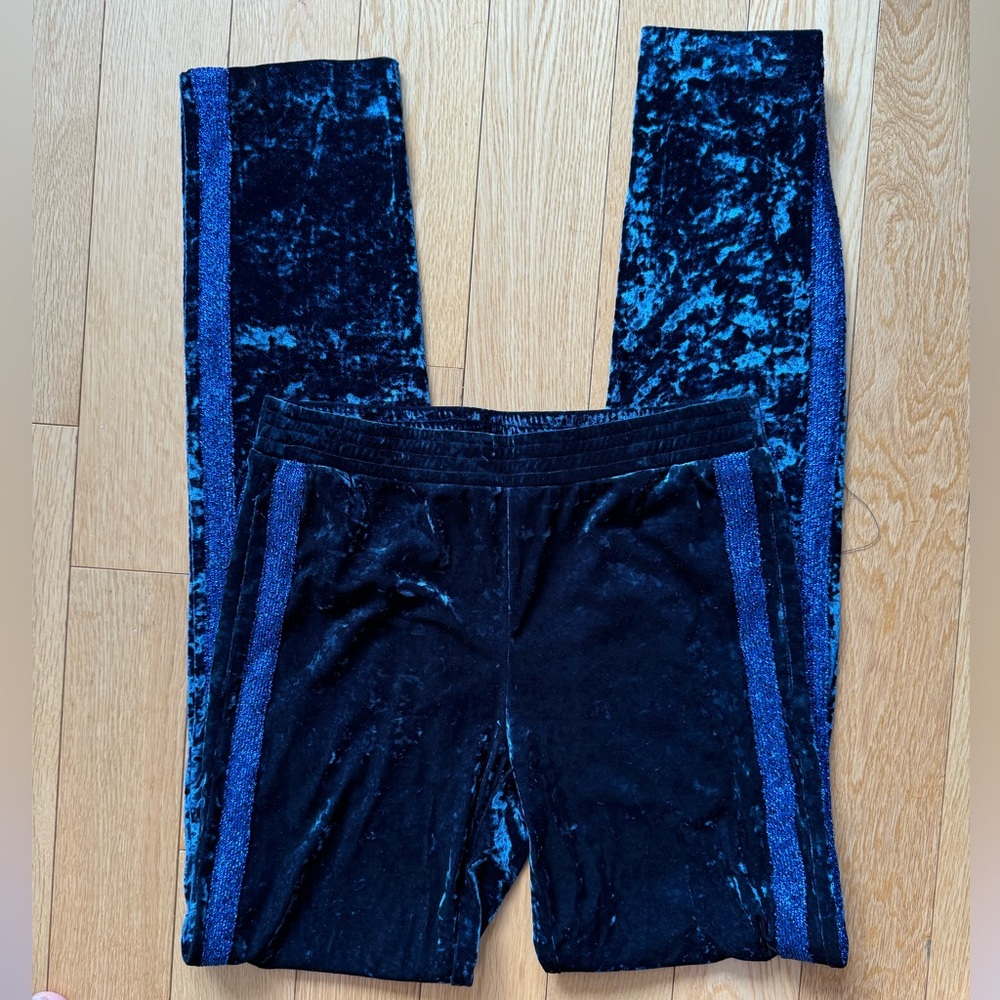 Anna Sui Velvet Pants